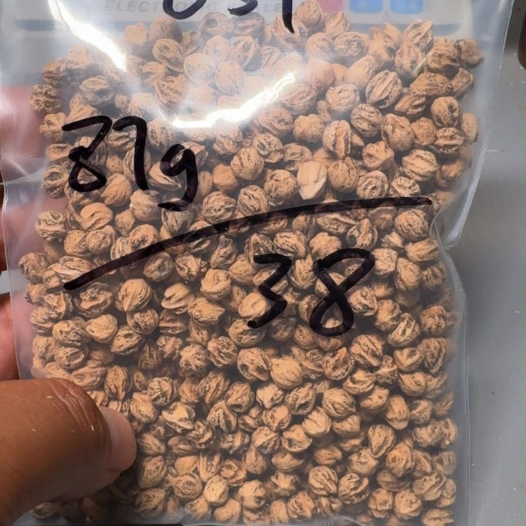 吊坠柏香籽/百香籽?****?