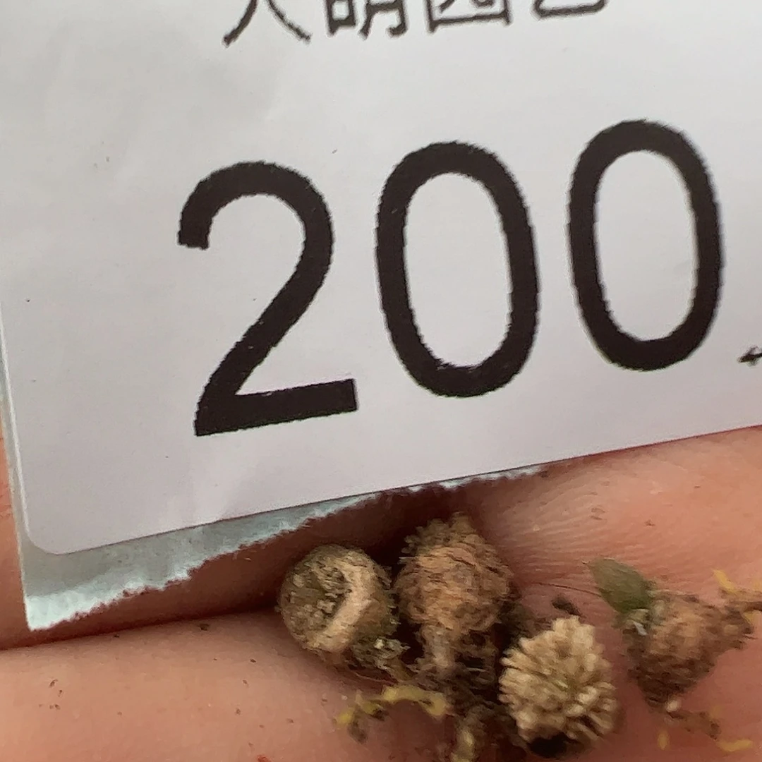 量拍以下1颗洛丽塔尺寸很小介意勿拍，200