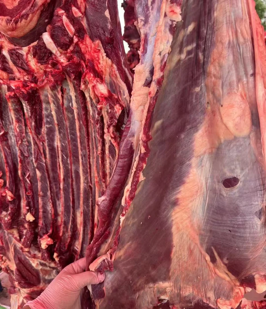 【牦牛牛腩】新鲜现切牦牛牛腩肉 有筋有肉
