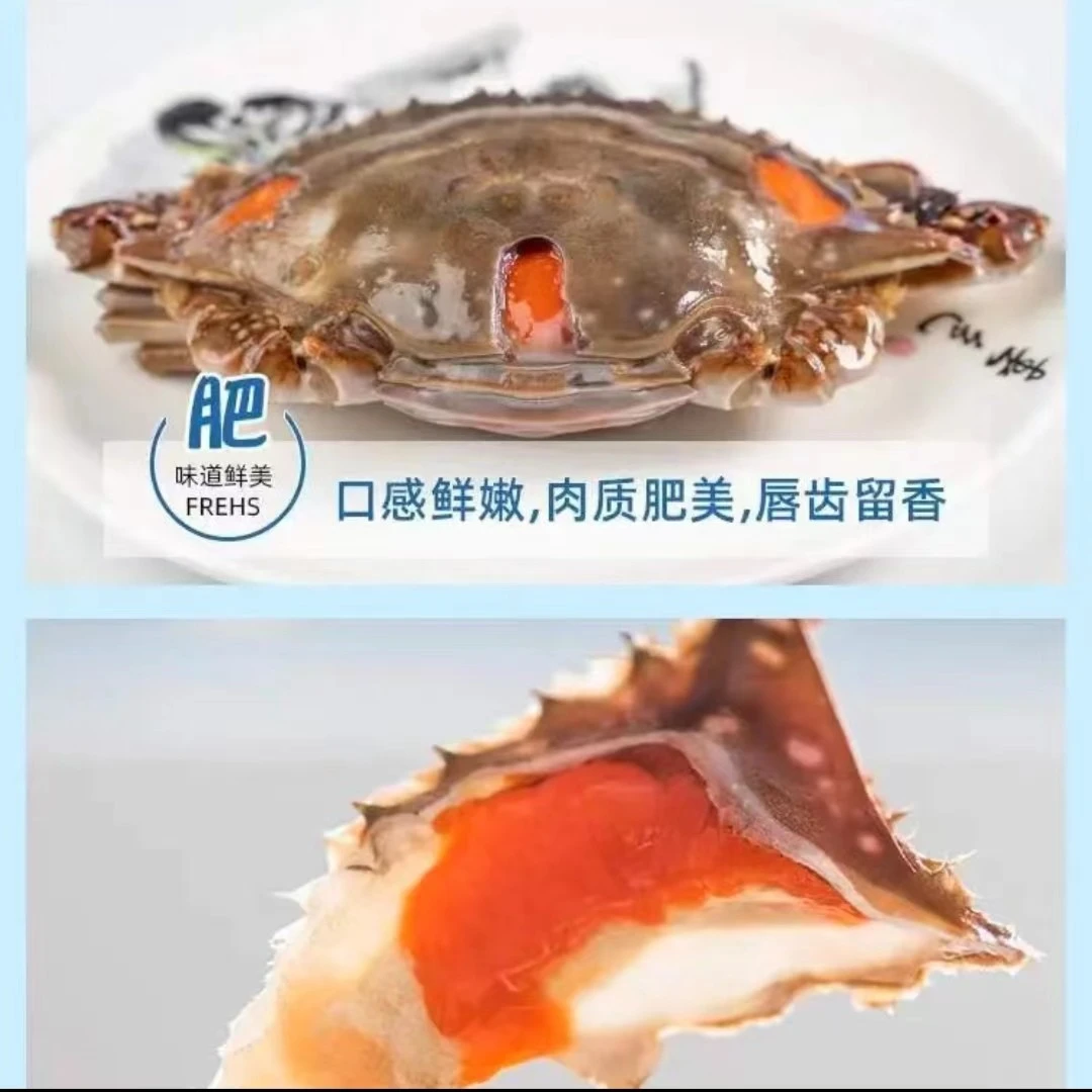 舟山捕鱼人红膏呛蟹腌制4-6两/只江浙沪顺丰包邮收到冷冻保存生吃