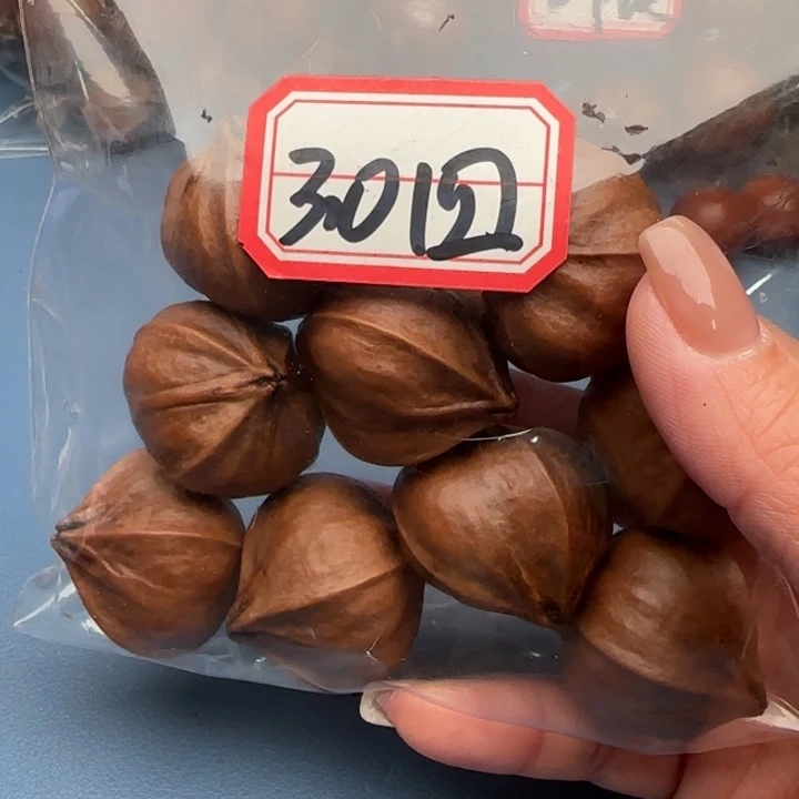 北***虎橄榄核手串橄榄核