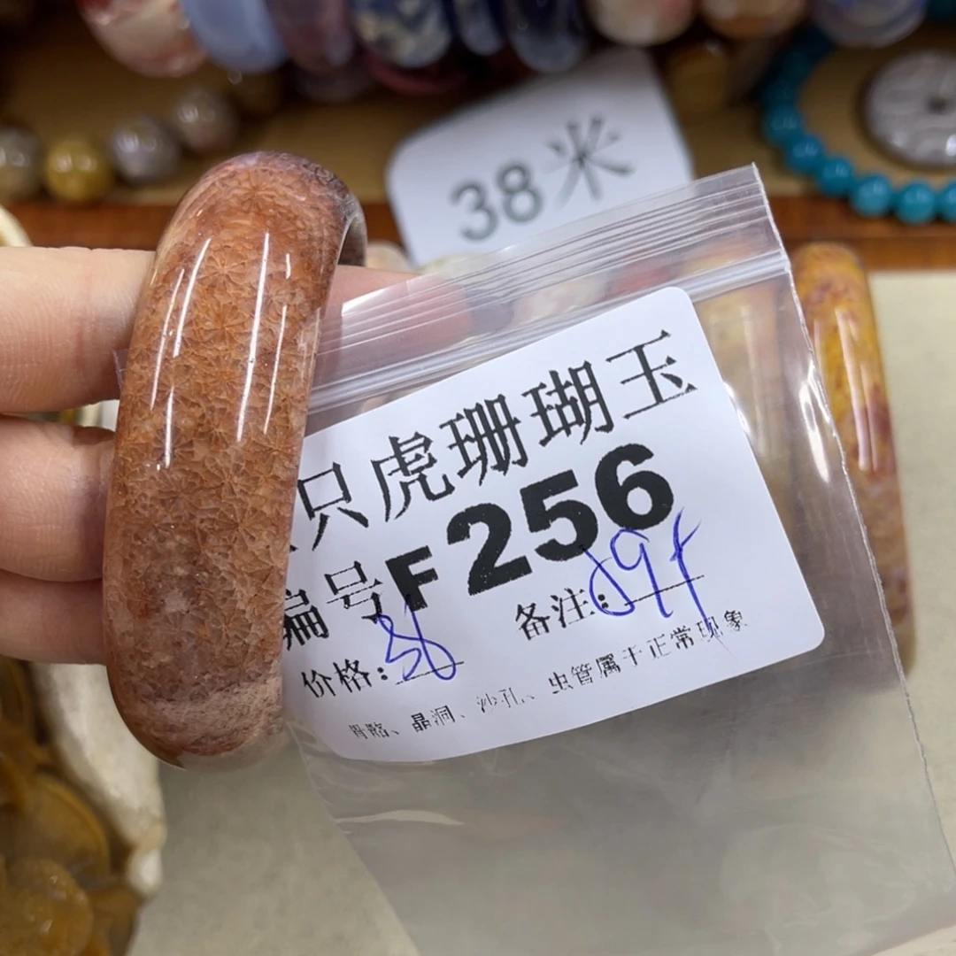 西***空未镶嵌h硅化珊瑚（珊瑚玉）