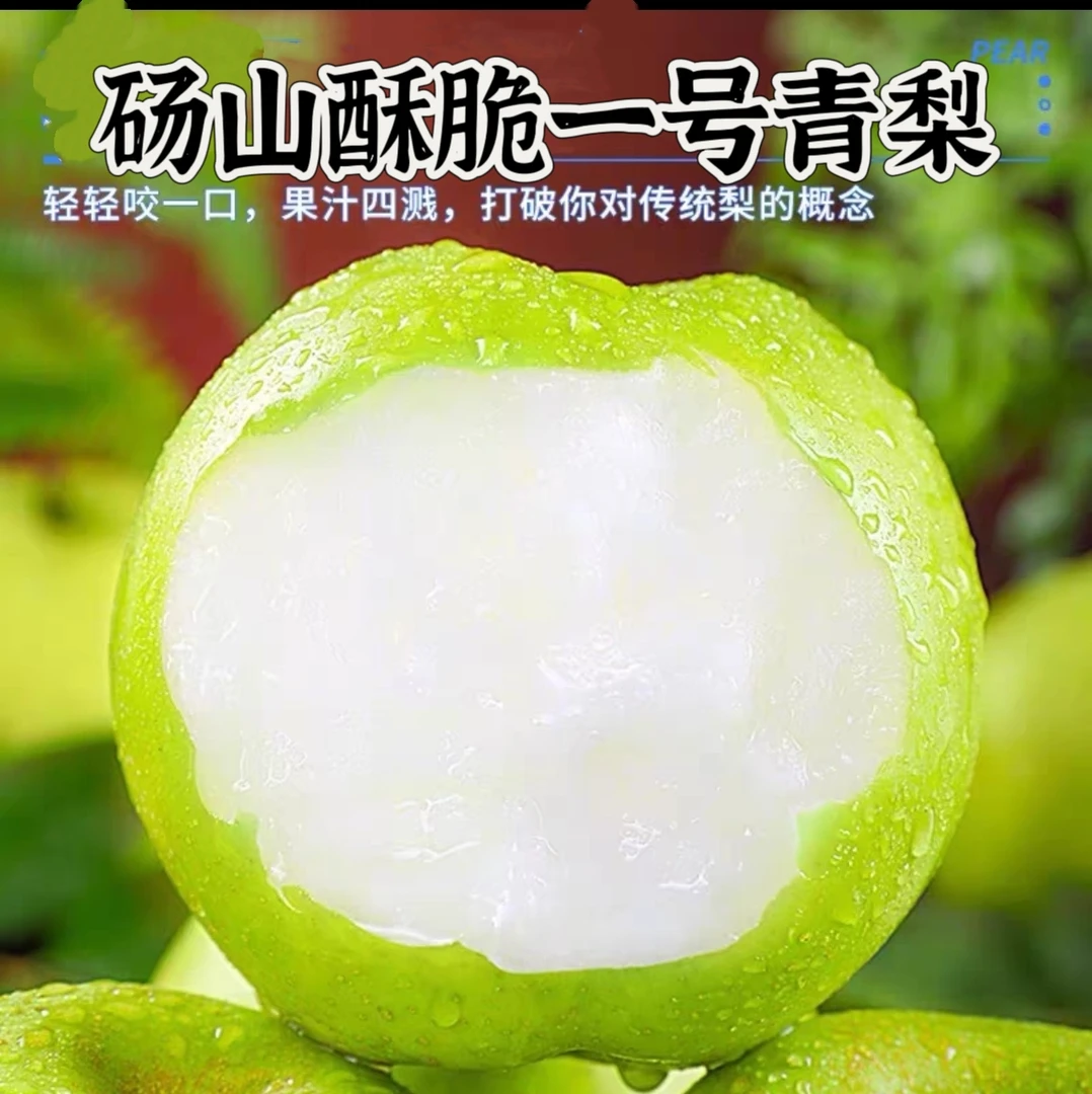 安徽砀山酥脆一号青梨4.5-5斤酥脆多汁新鲜应季水果现