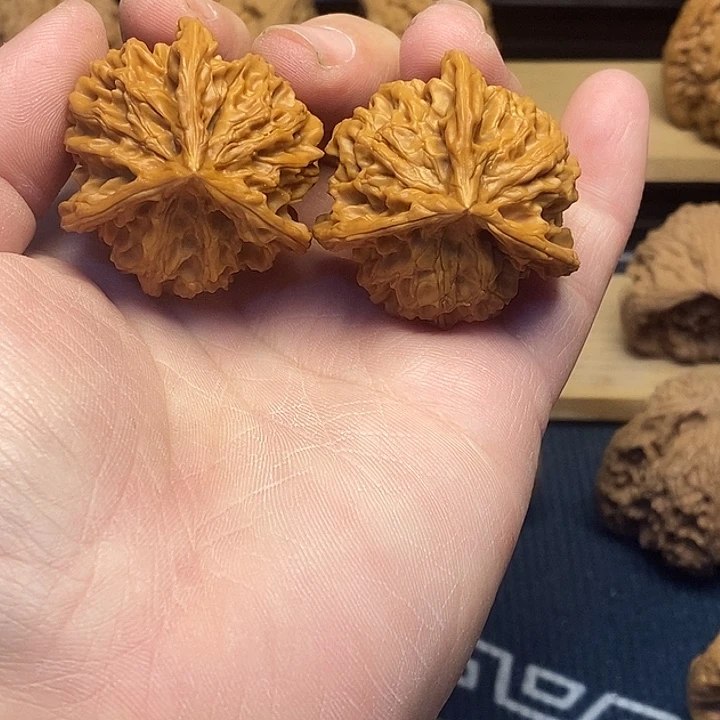 核桃35盘山三棱福利