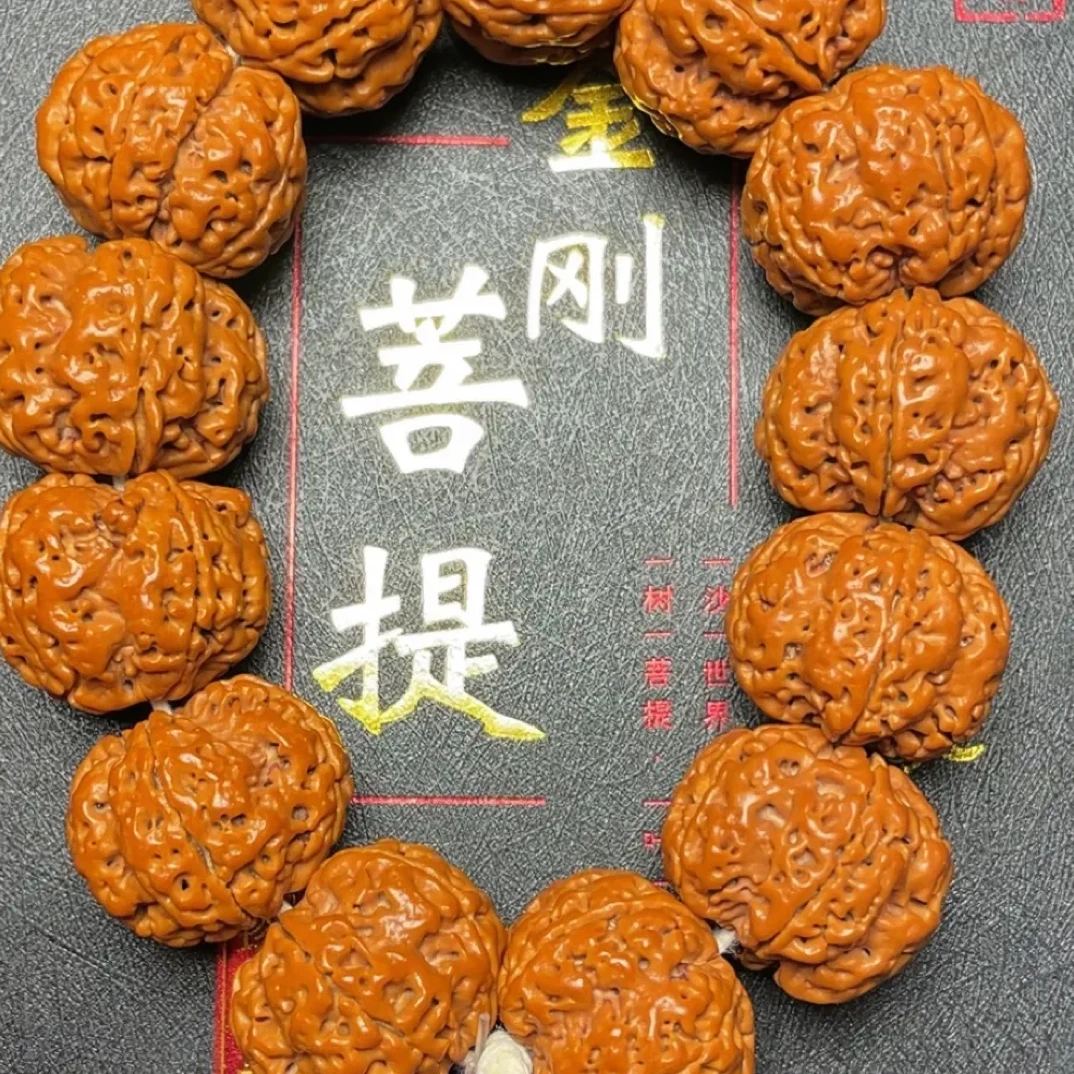 尼泊尔大金刚，梁梅花