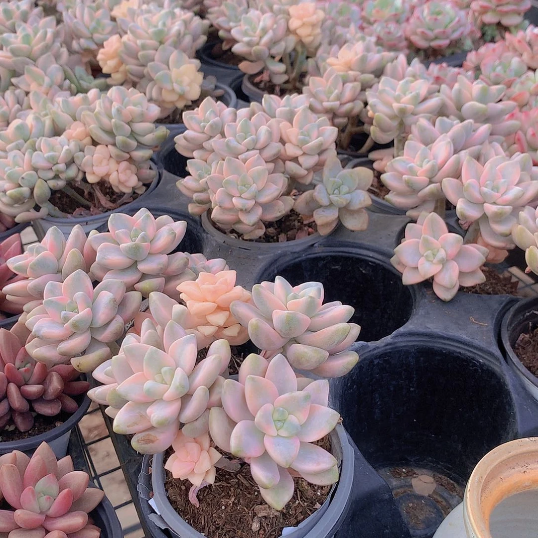 美信锦0000000000000000