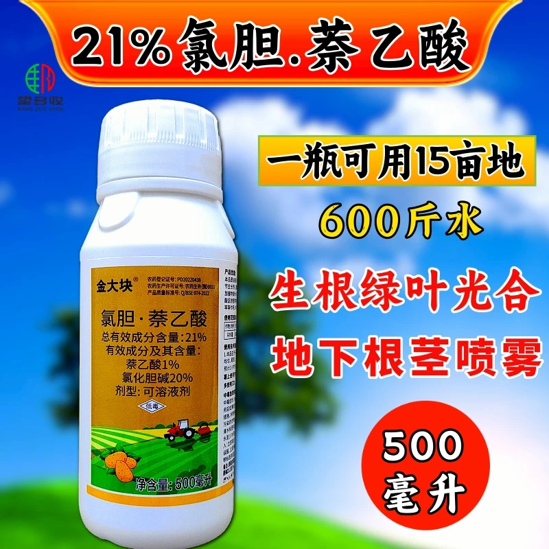 金大块21%氯胆萘乙酸马铃薯地下作物生长调节剂农用正品500克