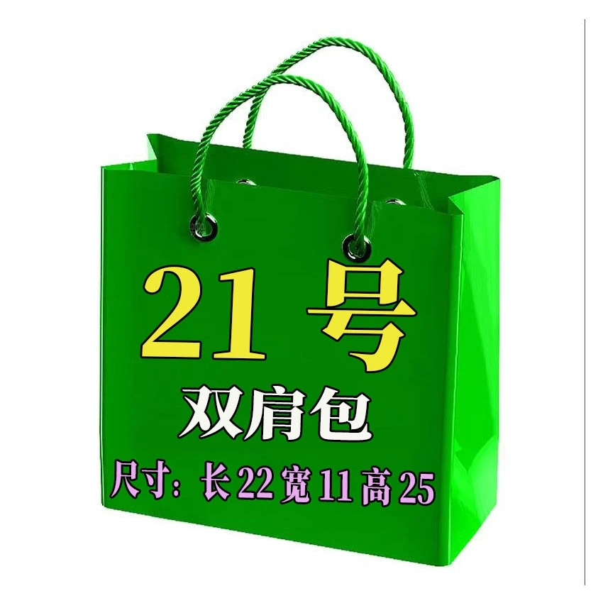 【21号】双肩包2025新款百搭双肩小书包QL1020#