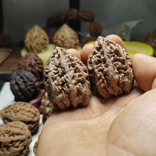 兵****文玩核桃把件东北野生文玩核桃