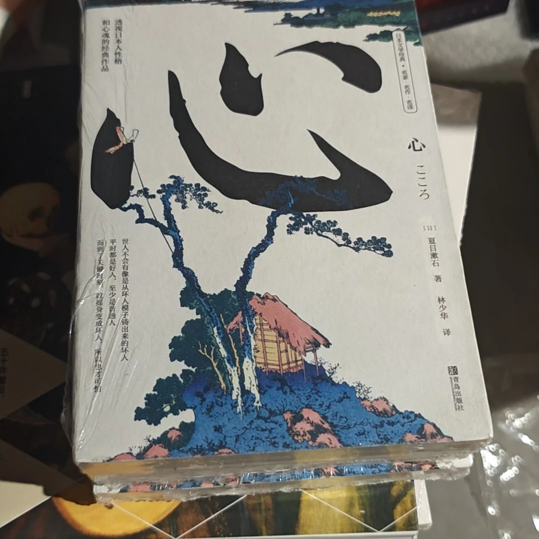 心平装塑封库存书全新