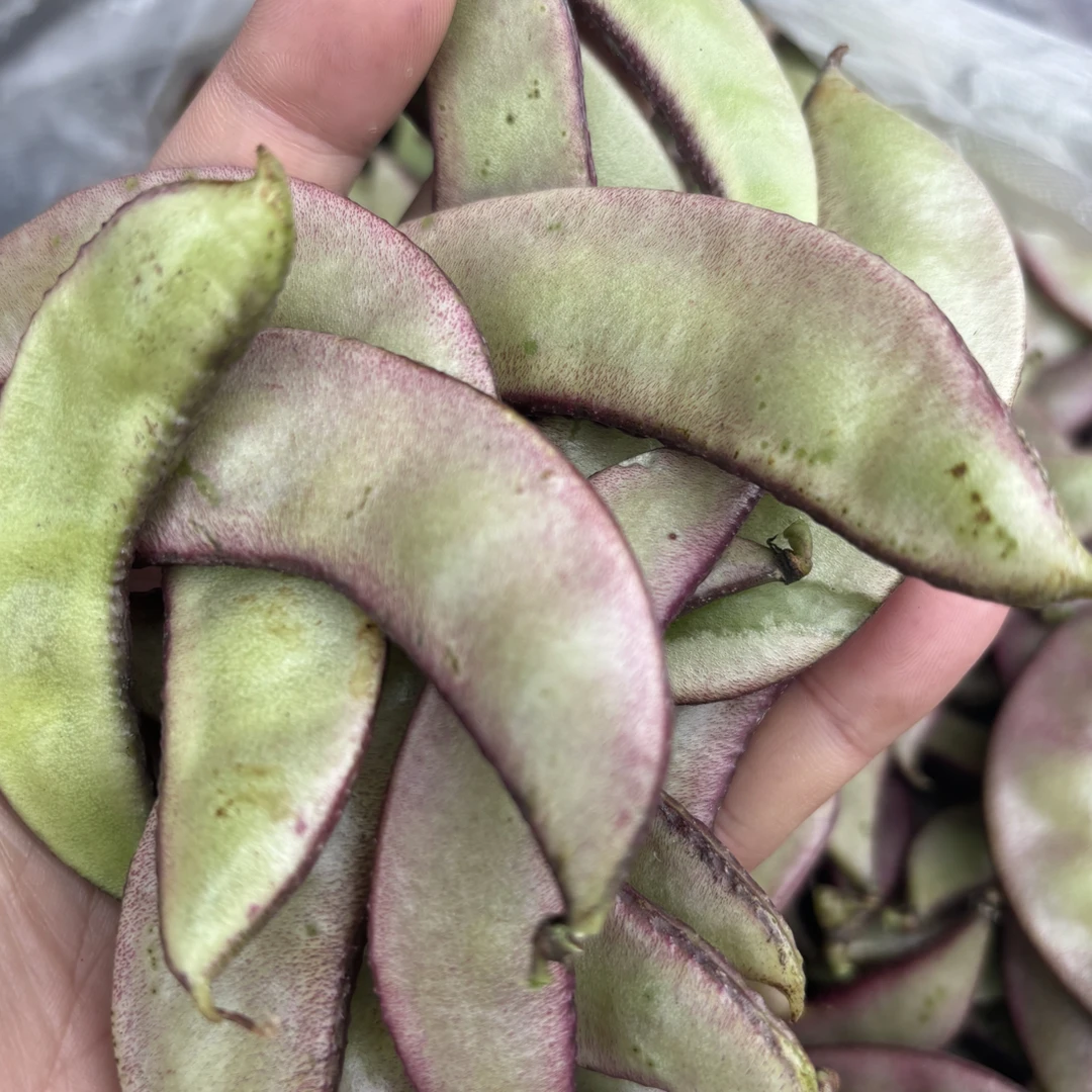 湖北老品种秋鹅米豆鹅眉豆适合干煸 炖肉清炒香味浓郁鲜美3斤包邮