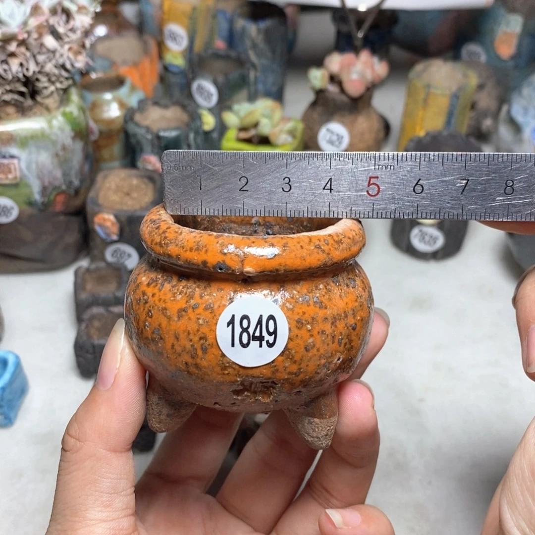 拍3送一9.9的拍5送同款