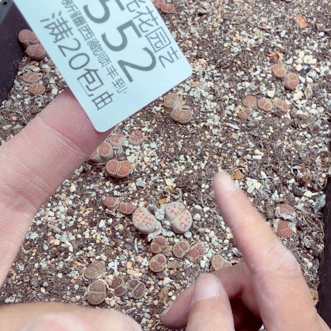 g***f我就去看看她家门口还有552