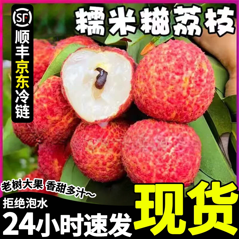 正宗广东老树糯米滋荔枝甄选稀有品种2025夏季热卖新鲜上市产