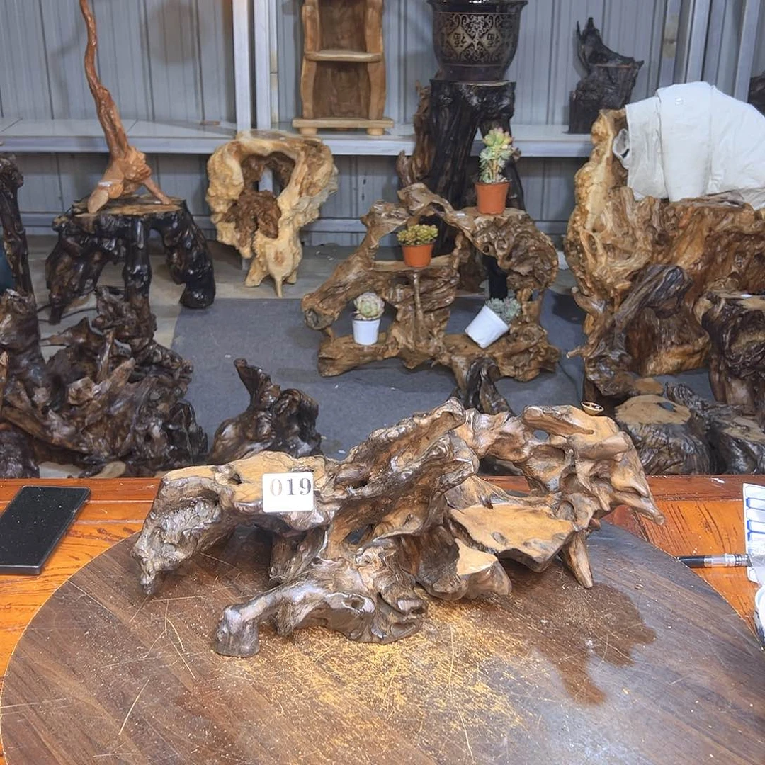 木?****子019/2dghgdfhfghh