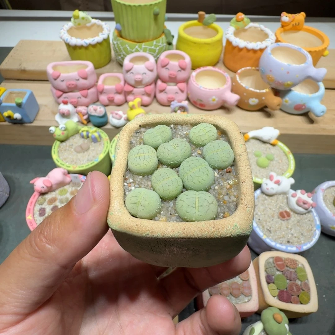 蘑菇303绿大白绿大白