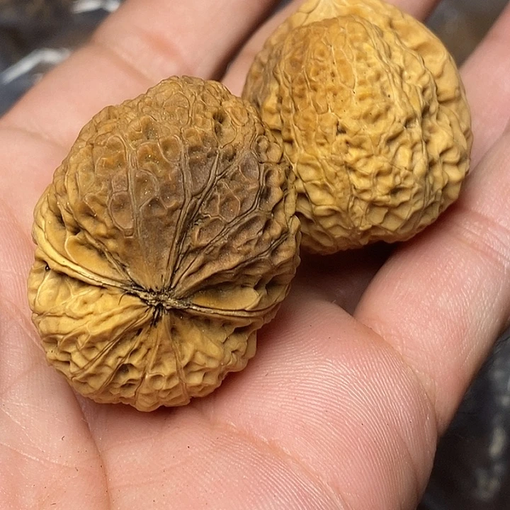 文玩核桃把件志成云铁文玩58