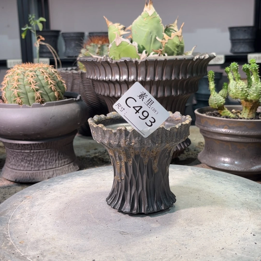 景德镇手工素里内口9.5高9