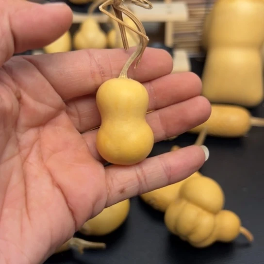 好***连4588 99  9999999