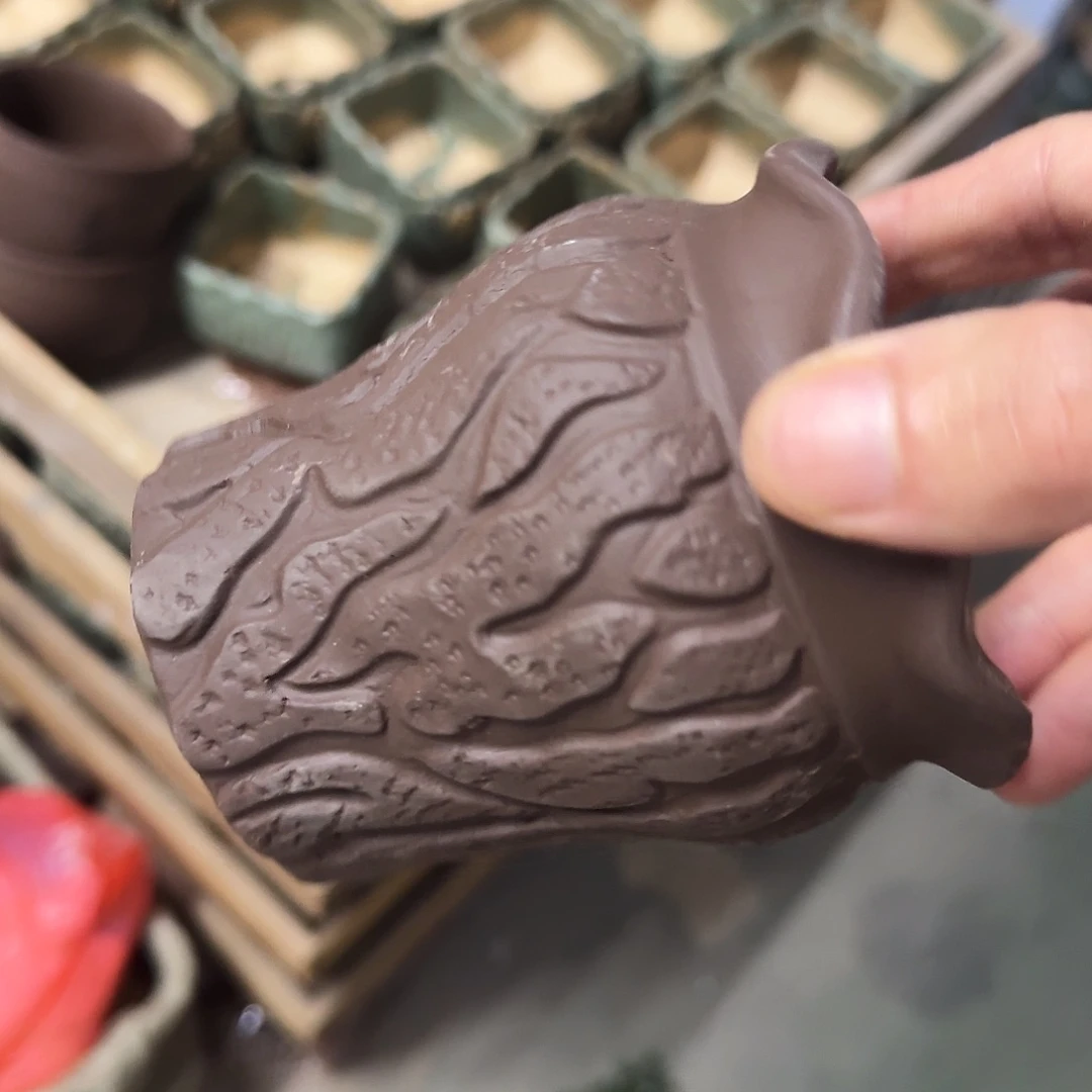 福利局绿植多肉盆［凑9元包邮24小时发］