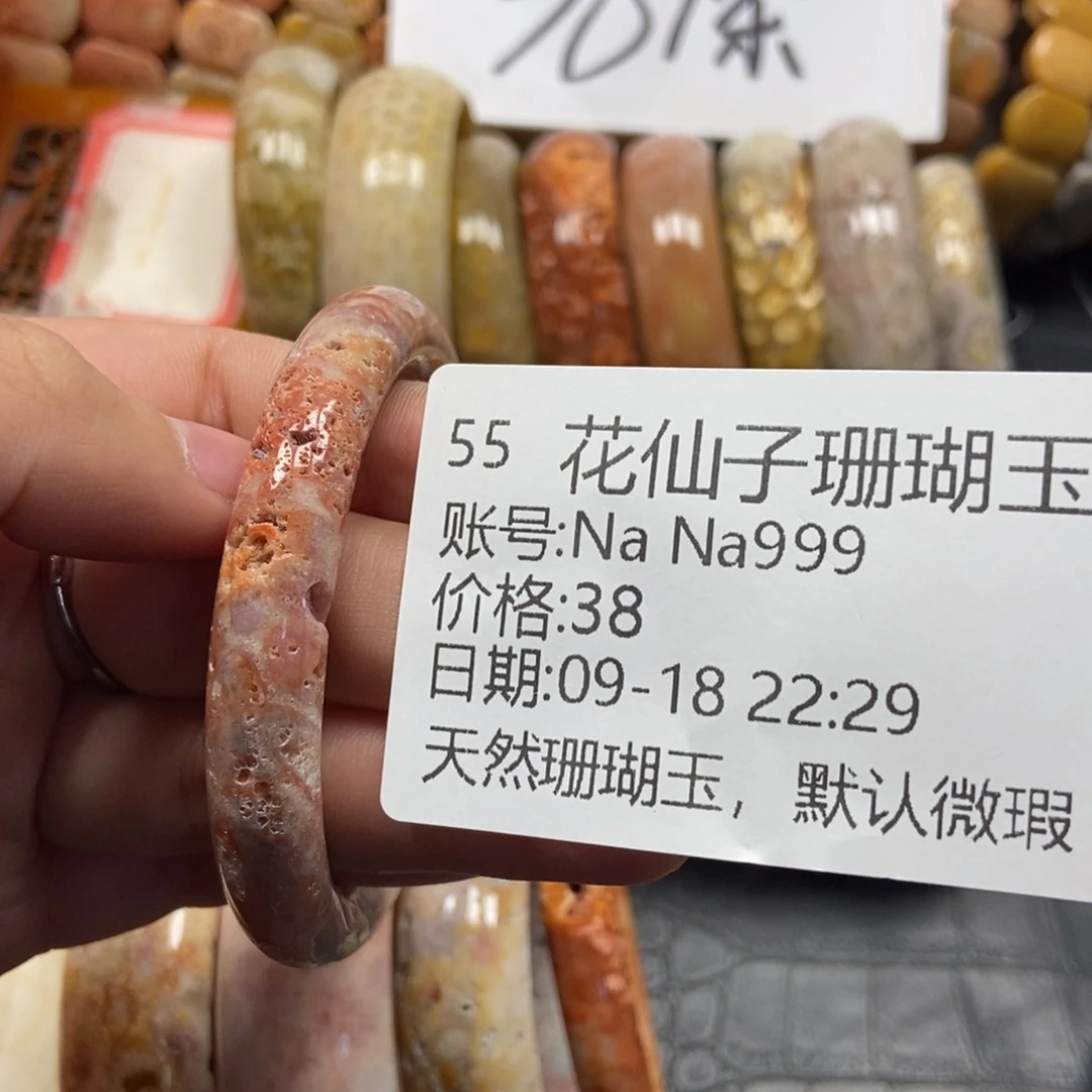 N***9未镶嵌硅化珊瑚（珊瑚玉）珠宝半成品55