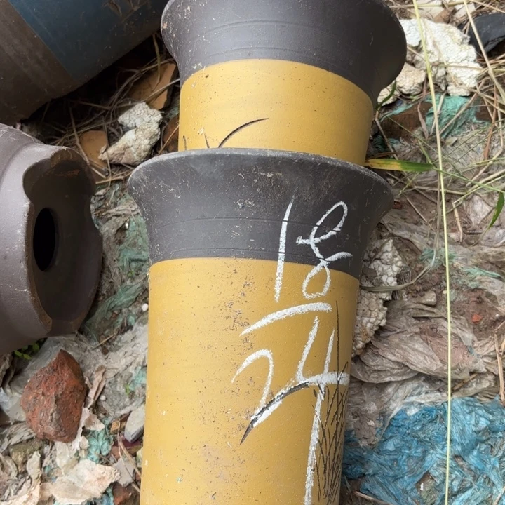 花盆紫砂紫砂的花