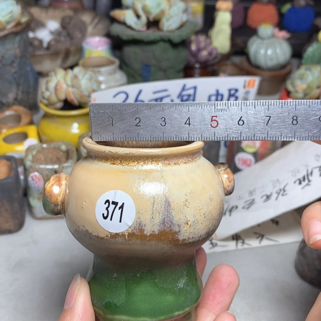 拍3送一个小礼物