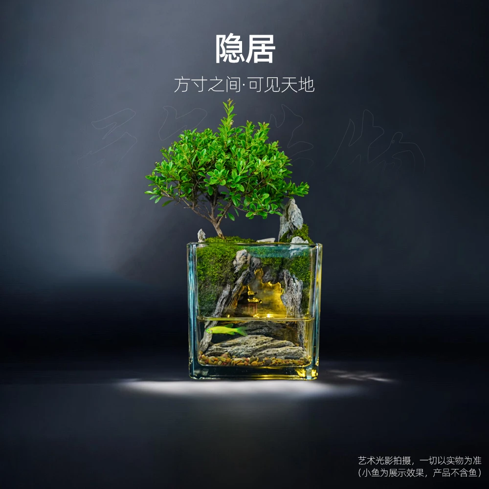 【雾隐】隐居2.0—小叶赤楠真石成品真植物【尺寸:12*12】