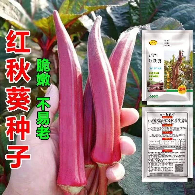 红秋葵种籽季水果秋葵种子春夏季大田耐热农家四季阳台蔬菜种孑