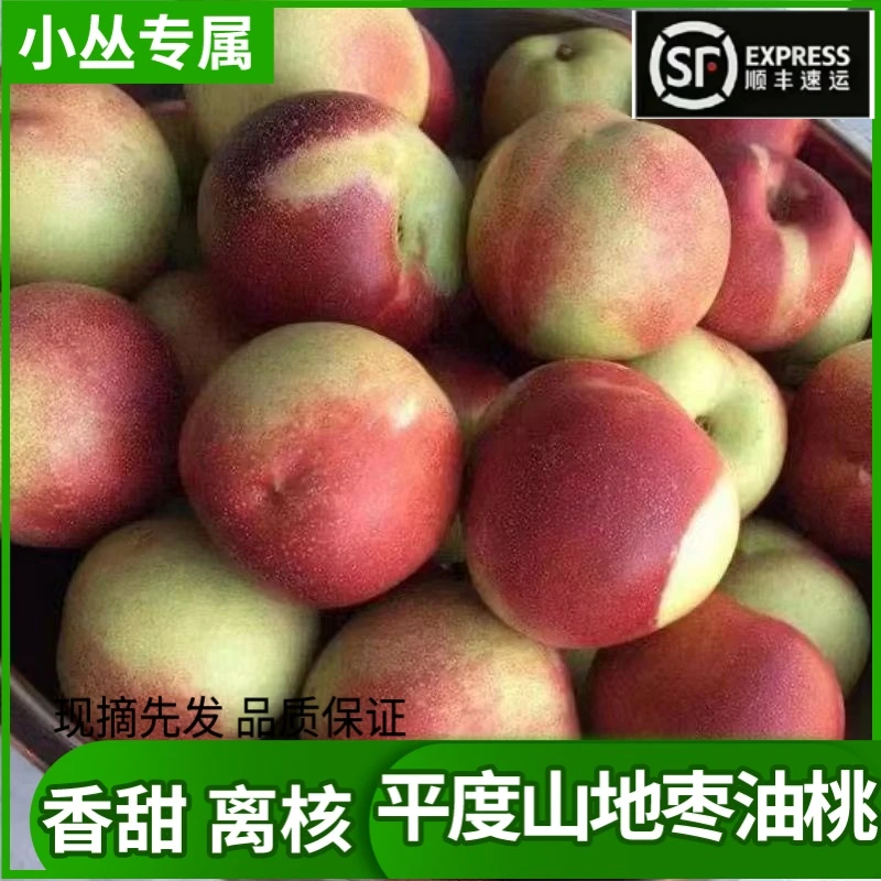 【小丛推荐】珍珠枣油桃平度山地枣油桃【自吃力荐】离核香甜可口精品珍珠枣油桃山东省