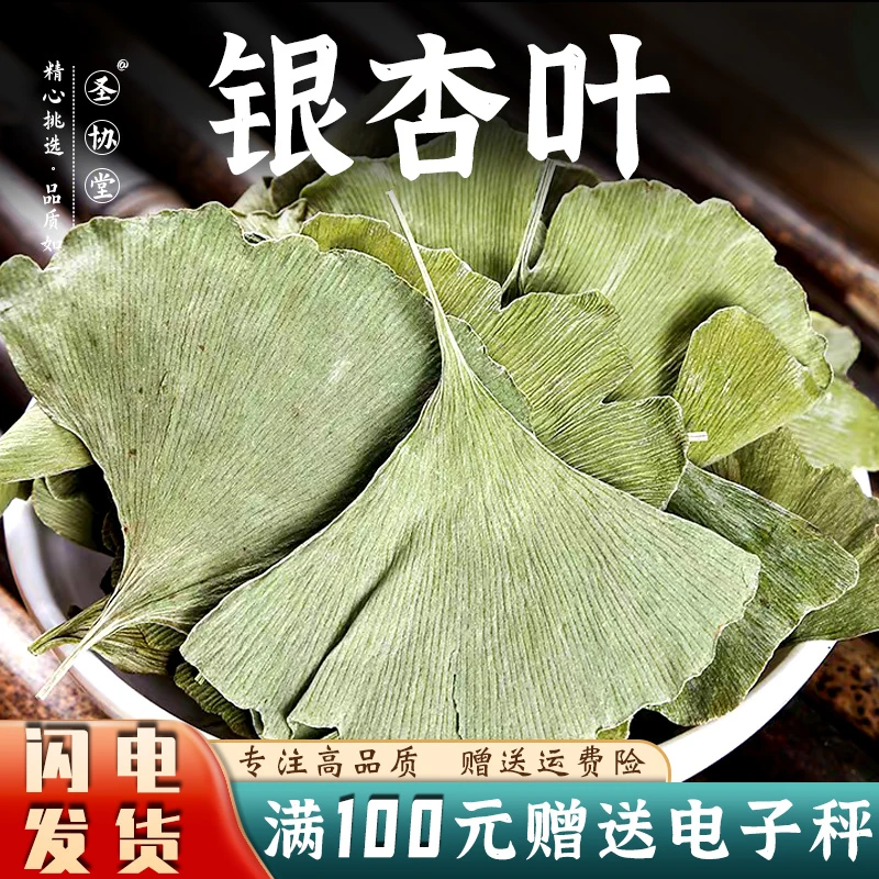 银杏叶中药材250/500g 泡水 另售 银杏果 豆蔻