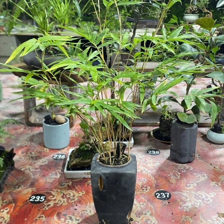 拾***漫完全开放一物一拍383