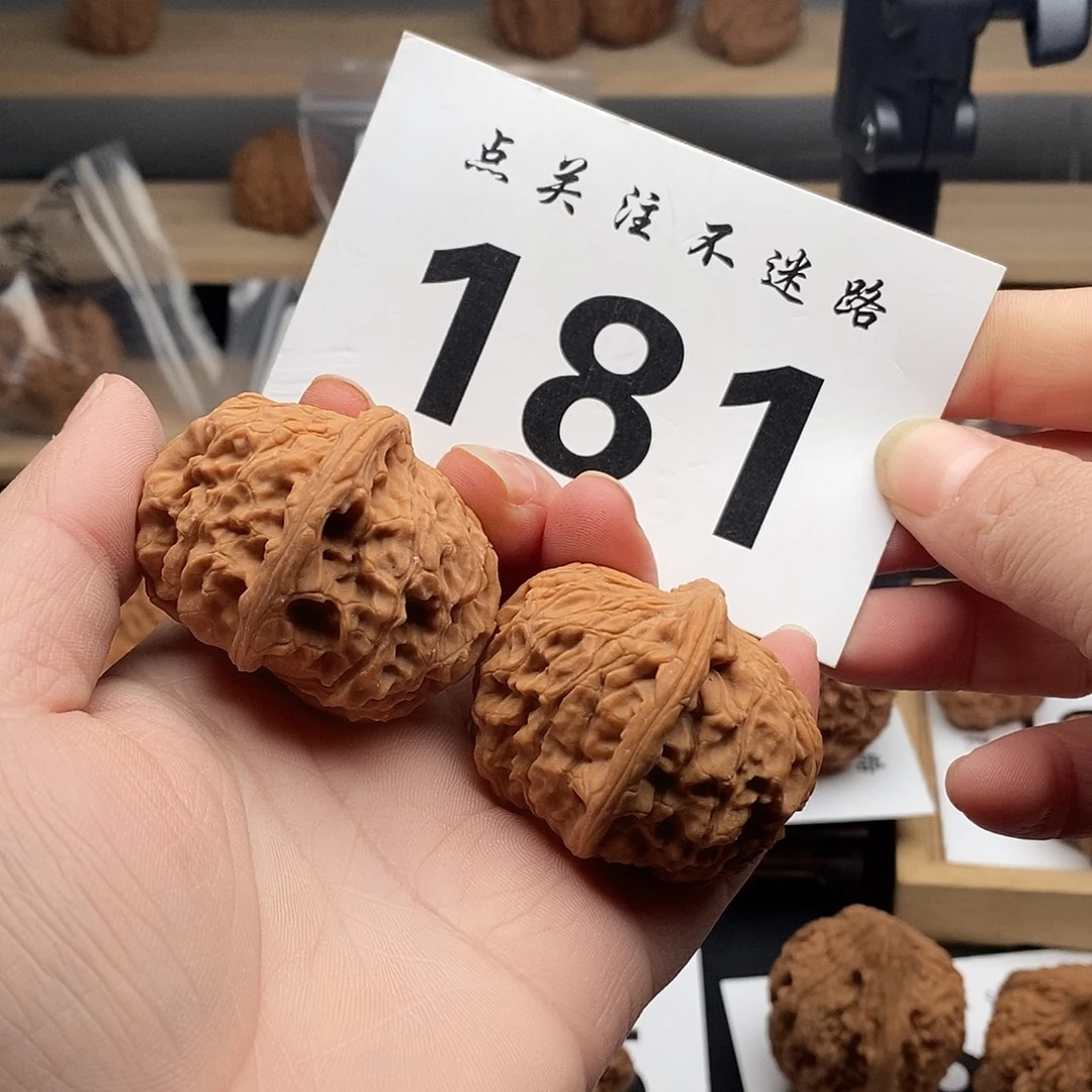 核桃40红狮子 181