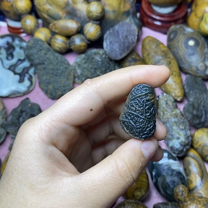 大叶紫檀（黑酸枝木类）蓝**卫