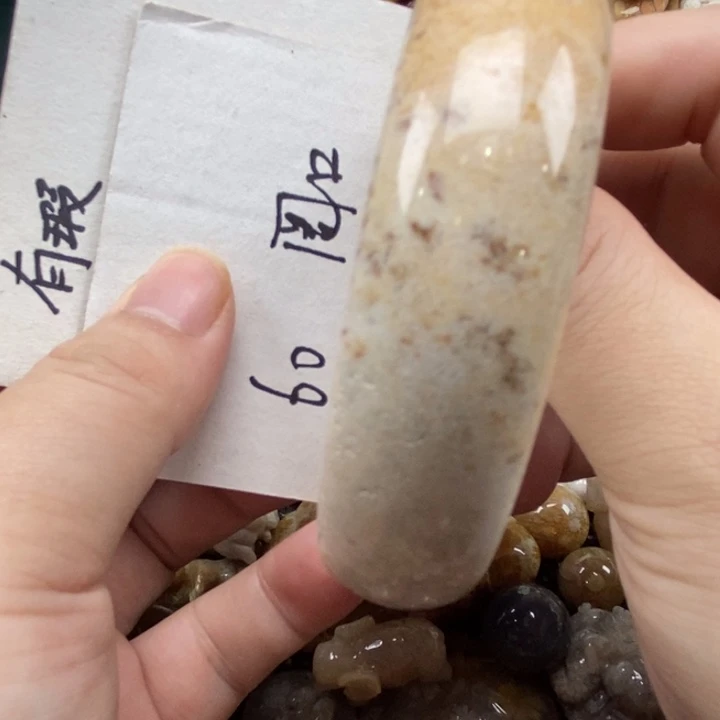 硅化珊瑚（珊瑚玉）未镶嵌颈饰