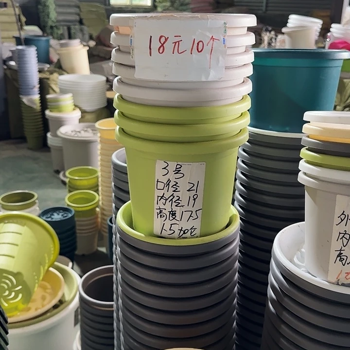 果绿色3号无托10个