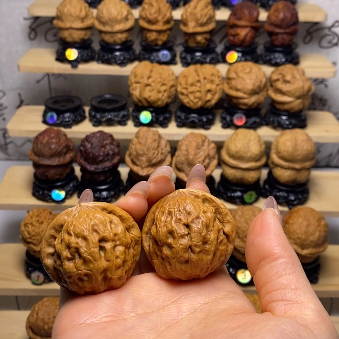 把件文玩核桃金钱龟y11