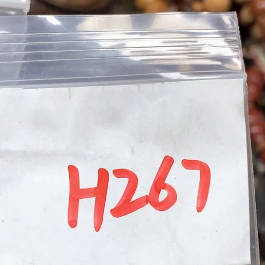 用***5吊坠滴血莲花菩提