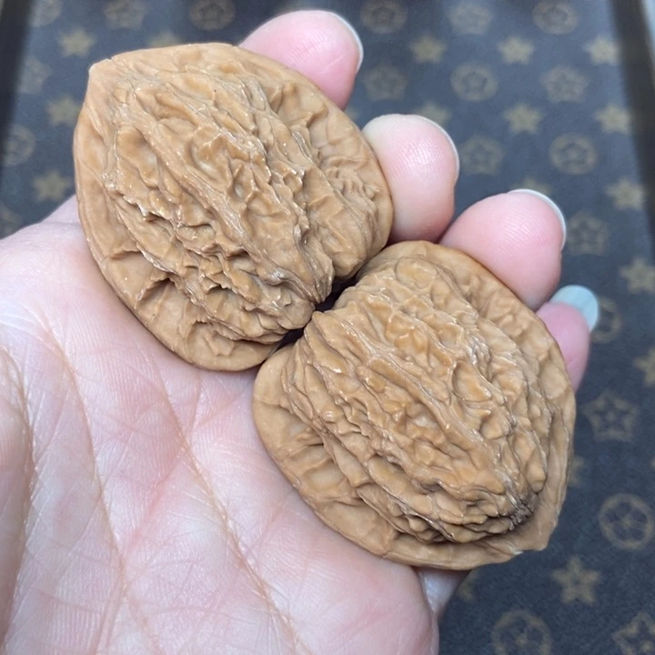 核桃文玩核桃野生