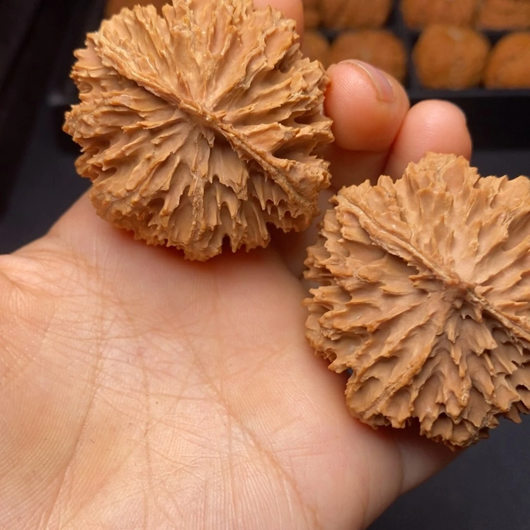 文玩核桃把件秦岭野生核桃