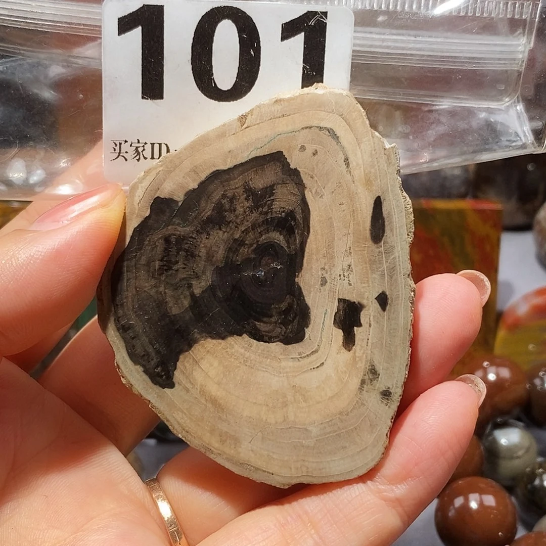 硅化玉天然北票硅化玉原石未镶嵌