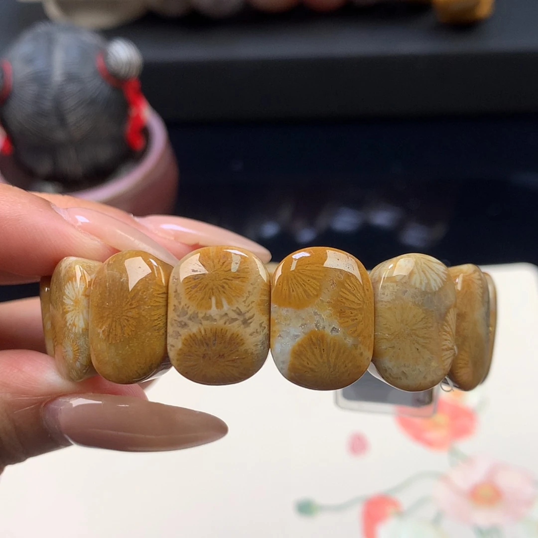 【闪购商品】颈饰未镶嵌硅化珊瑚（珊瑚玉）14号 意境满满