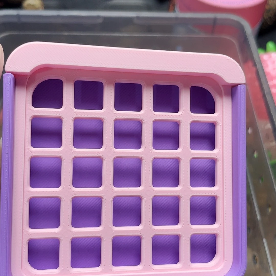 天****陌派帝国寄居蟹824