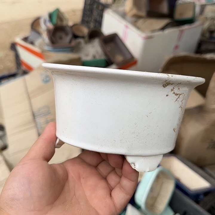 我在开会你忙什么啊亲