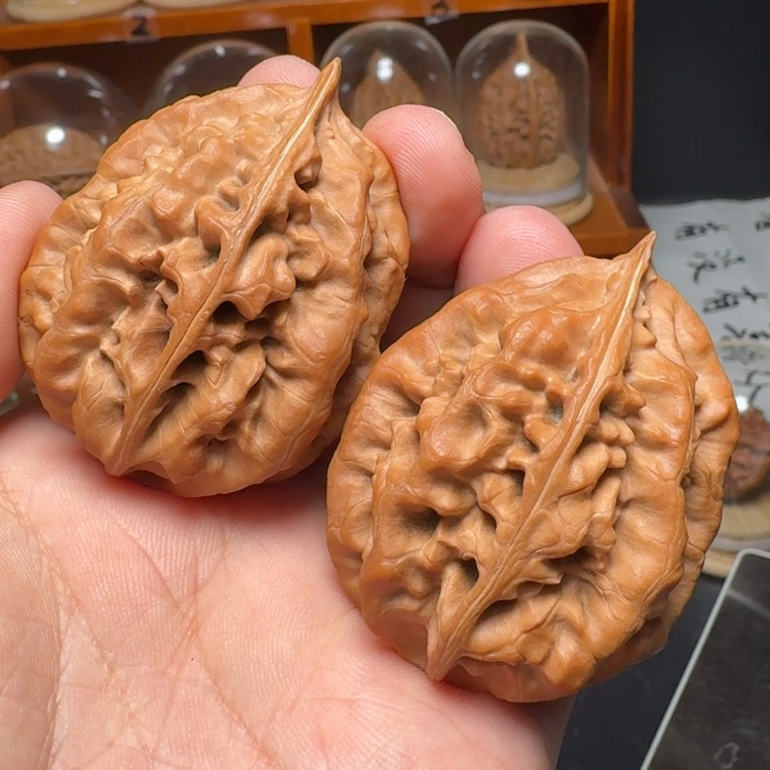 文玩核桃把件帝王龙