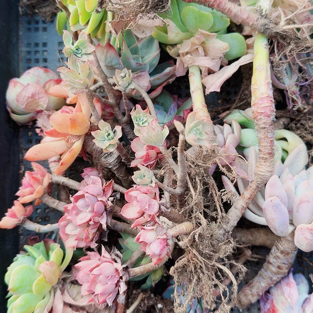 香***…满20包邮零下拍保温箱53号无售后