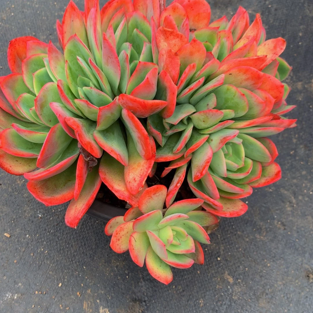 妮***姐绮罗111111111111111