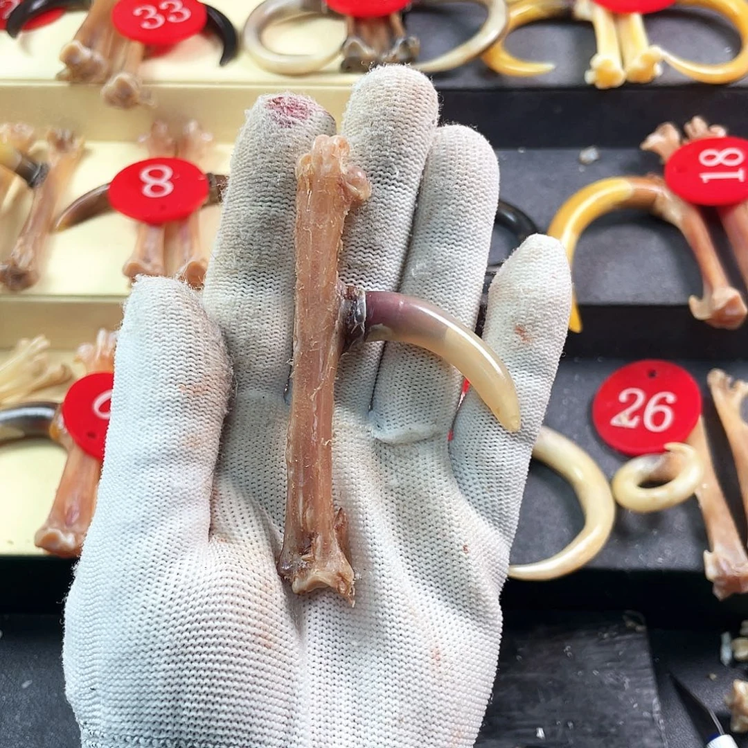 鸡骨（鸡脚）把件手把件