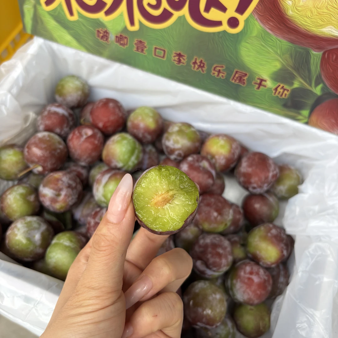 【即时零售】甜小李 四川脆甜李 凤凰李脆脆哒 脆甜可口微酸 约3斤四川省
