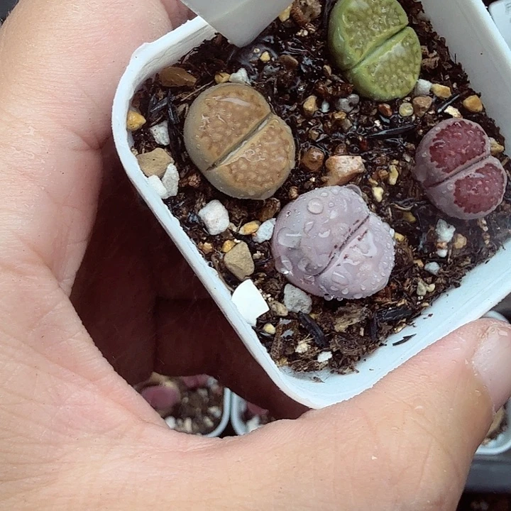 我们就能成为好老师和145